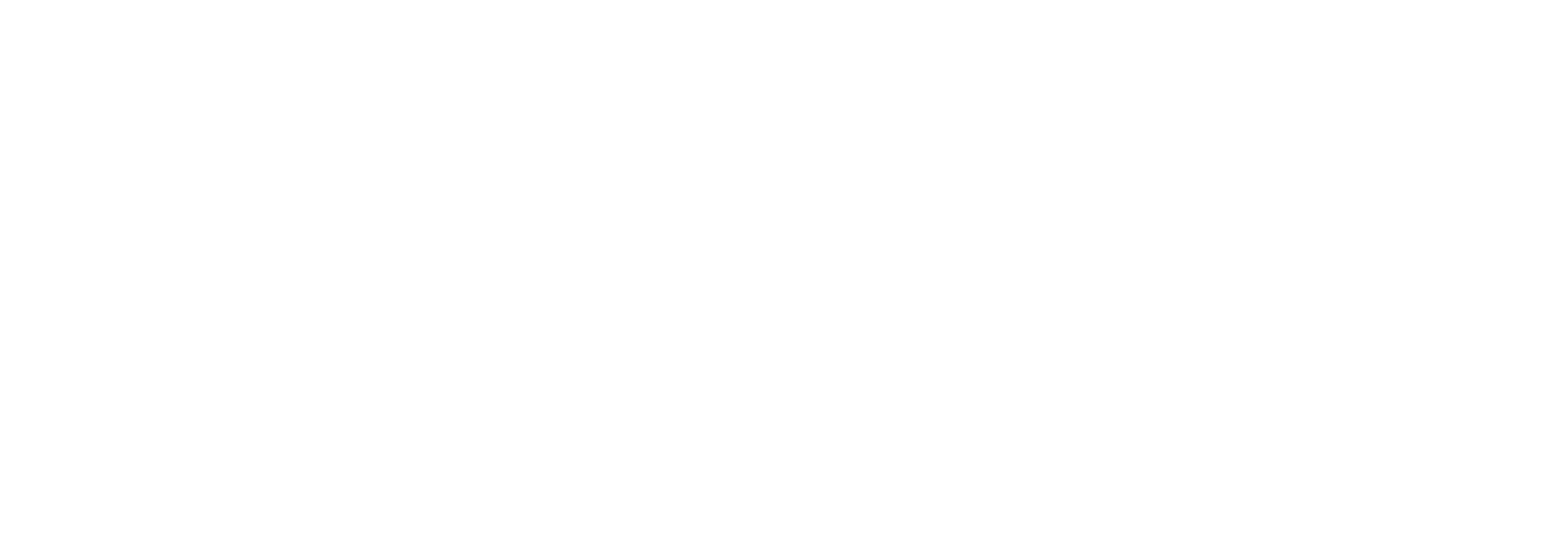 eSmart Systems